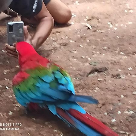 Casas Bom Sono Hotel Foz do Iguaçu Eksteriør billede